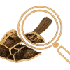 curwe stone selection and sourcing process
